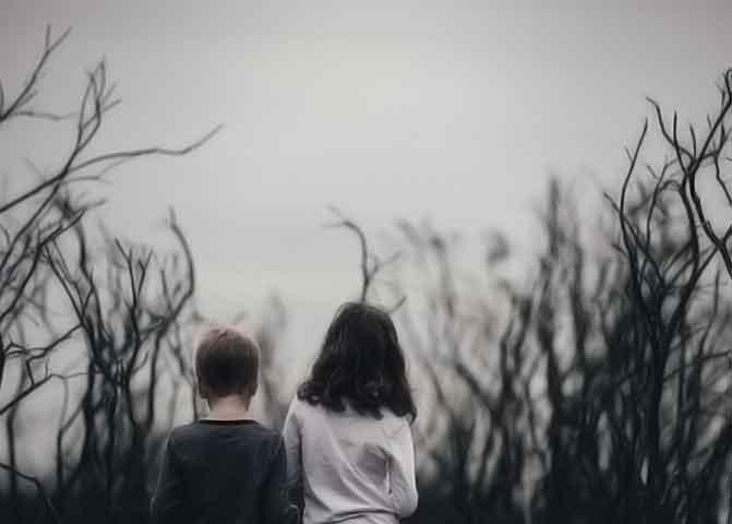 官方下载地址的器测压文章